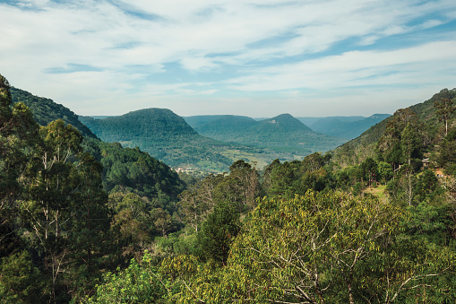 Rural landscape of a valley with hills covered by forests and big trees in the foreground near Canela. A charming small town very popular by its ecotourism in southern Brazil.