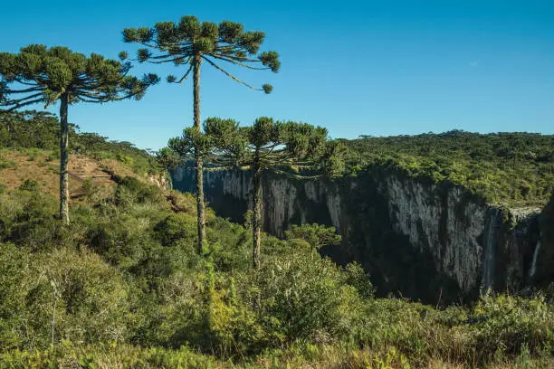 Photo of Itaimbezinho Canyon with cliffs and waterfall