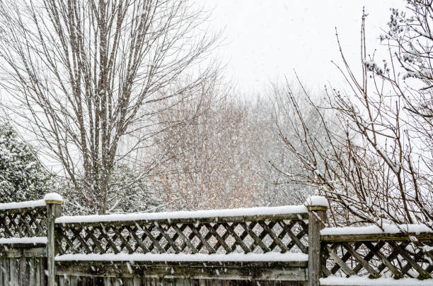 Snow fall covering a backyard fence leading away, next to bare branches