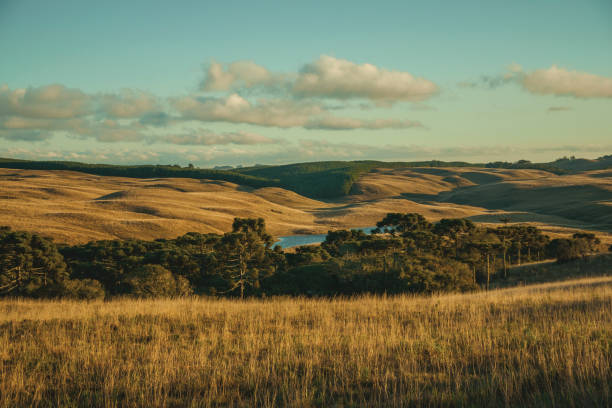 Landscape of rural lowlands called Pampas
