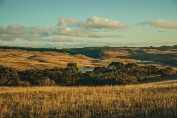 landscape of rural lowlands called pampas - sierra imagens e fotografias de stock