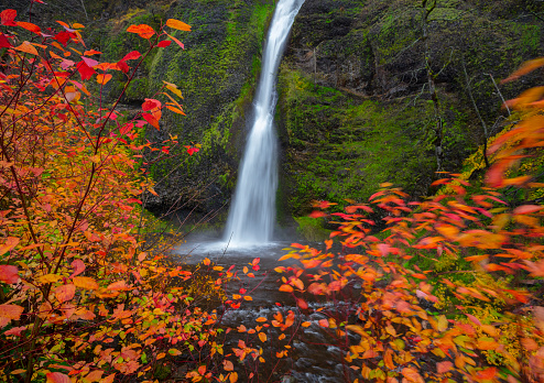 Horsetail falls in the Columbia River Gorge, Oregon.