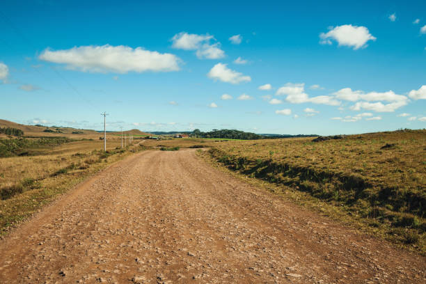 istock Dirt road passing through rural lowlands and ranch 1193815125