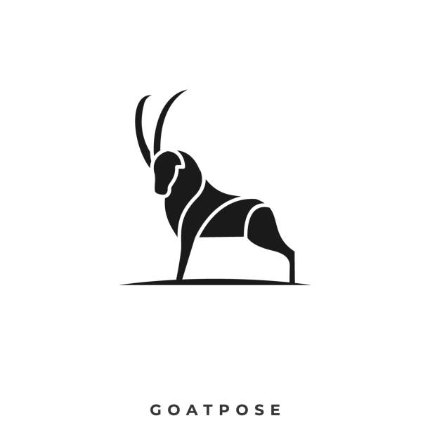Goat Pose Illustration Vector Template Goat Pose Illustration Vector Template. Can be used for Creative Industry, Multimedia, entertainment, Educations, Shop, and any related business. animal body part stock illustrations