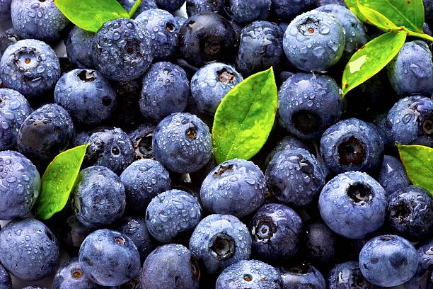 de arándano - blueberry fotografías e imágenes de stock