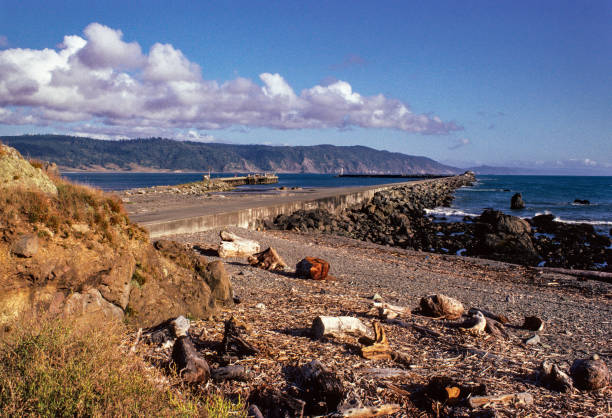 Redwood National Park Beach-1983. September 1983.  Scanned from Kodachrome slide.