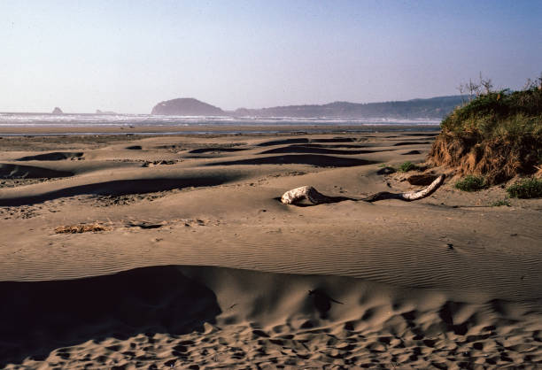 Olympic National Park - Sand Beach-1989