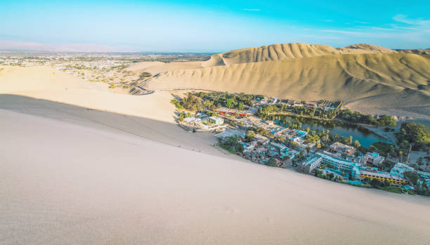 istock An oasis in the sand desert 1193829985