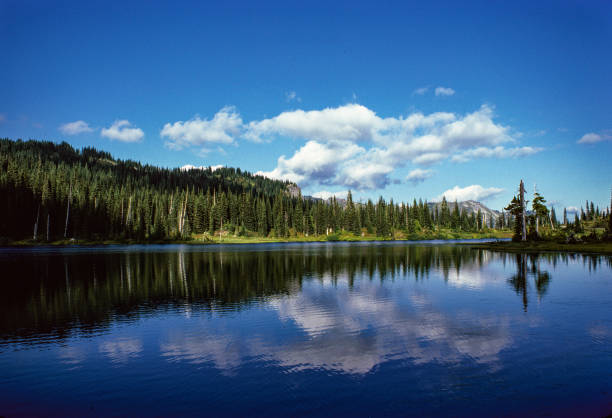 istock Mt Rainier National Park- Mountain Lake Reflection - 1983 1193830801