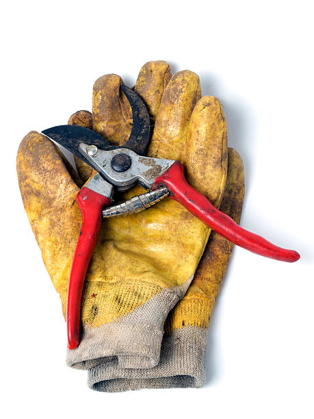 istock Gardening equipment 119383583