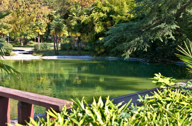 istock Lake in the park in autumn 1193837330