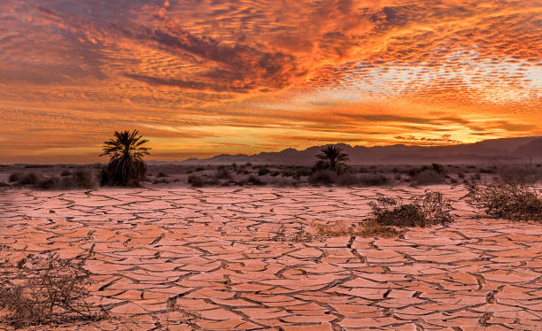 Global warming in desert area of the Middle East Colorful sunset in desert area, image depicts patterns of the global warming horizon over land photos stock pictures, royalty-free photos & images
