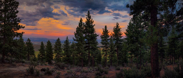Tahoe Sunset A Vibrant Sunset off the beautiful Carson Valley just south of Lake Tahoe. nevada landscape stock pictures, royalty-free photos & images