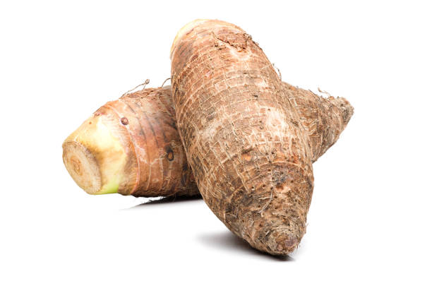 istock Two Taro root stacked together on a white background. 1193840767