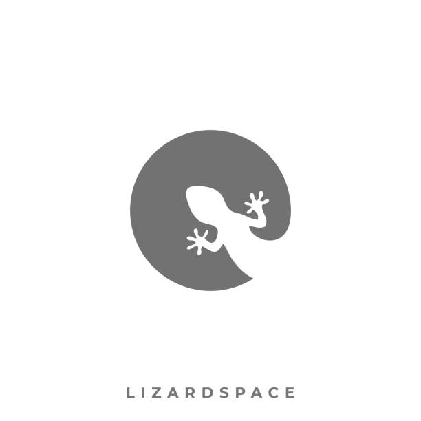 illustrations, cliparts, dessins animés et icônes de modèle de vecteur d'illustration d'espace de lézard - salamandre