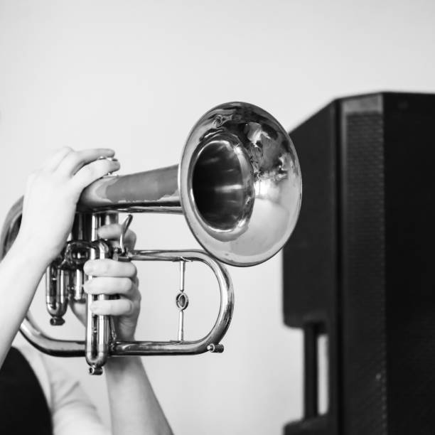 istock Flugelhorn in trumpeter hands, close-up retro stylized 1193846956