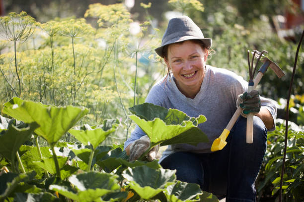 istock middle-aged woman at work in the garden 1193850067