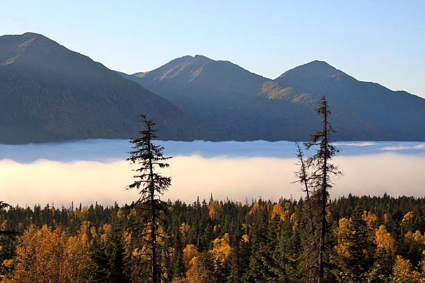 Yukon in Canada, wild landscape in autumn in the Tombstone park, mist on the mountains
