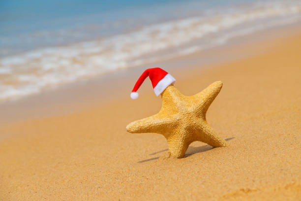 istock Starfish Santa Claus on the beach. Selective focus. 1193859021
