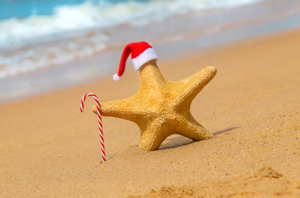 istock Starfish Santa Claus on the beach. Selective focus. 1193859033