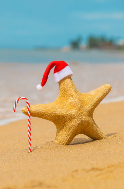 istock Starfish Santa Claus on the beach. Selective focus. 1193859051