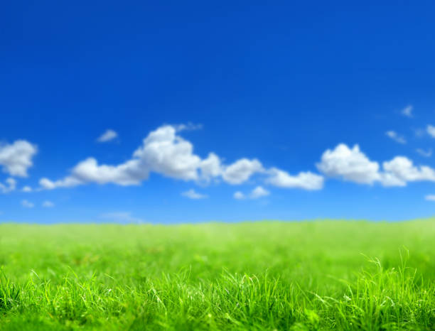 istock green grass countryside landscape 1193859066