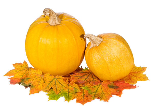 istock pumpkins with autumn leaves 119386420