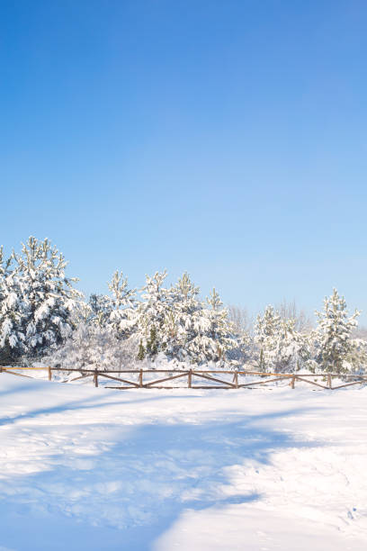 istock Winter forest, wooden fence 1193866948
