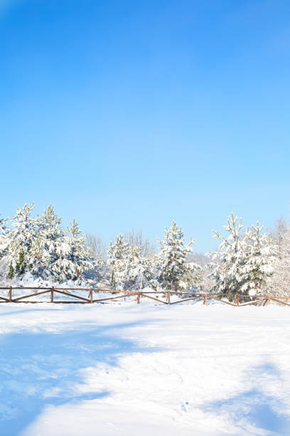 istock Winter forest, wooden fence 1193867120