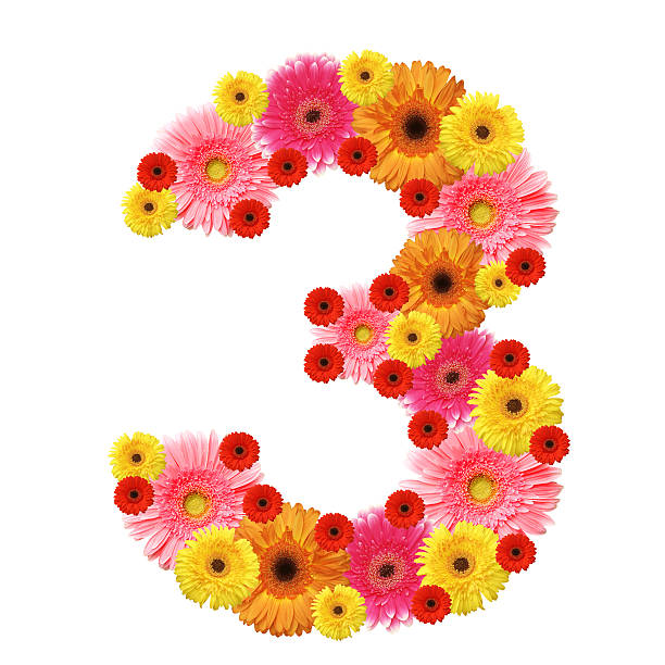 istock The number three made up of assorted colored sunflowers 119386743