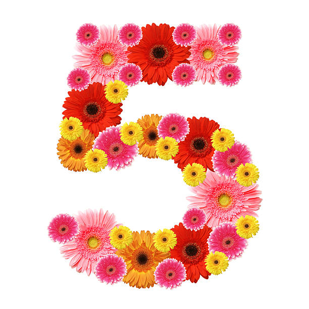 istock Number 5 shaped with various colorful flowers 119386763