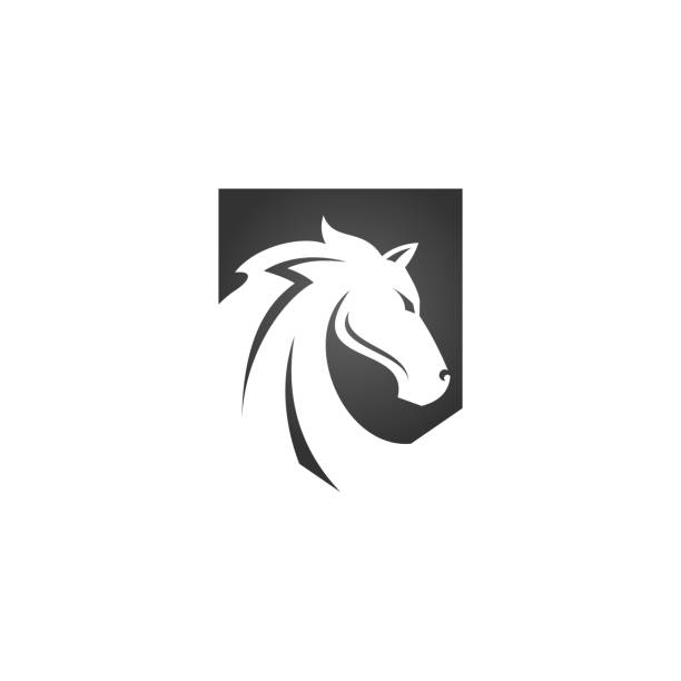 illustrazioni stock, clip art, cartoni animati e icone di tendenza di testa di cavallo in design logo scudo nero, illustrazione vettoriale isolata su sfondo bianco - steeplechasing