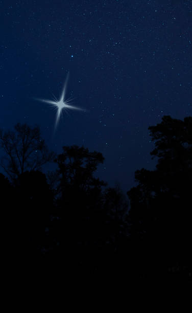 istock Rising Christmas Star over a dark treeline 1193877950