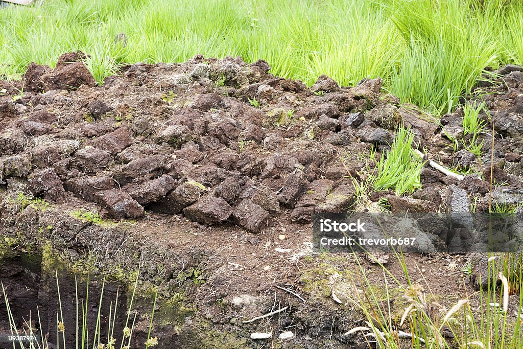 Cut Peat  Agricultural Field Stock Photo