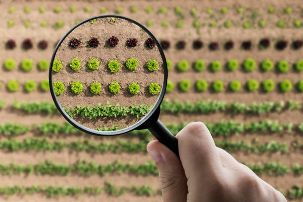 istock Magnifying glass focusing on an orchard with diverse vegetables planted 1193879885