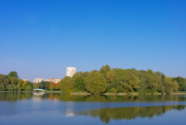 istock summer in city park 1193882245