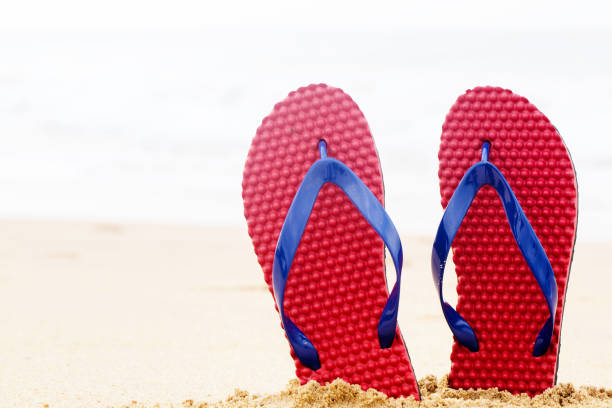 istock beach flip flops on tropical sand 1193882261