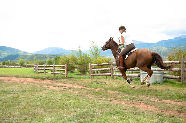 istock Horseback rider in a field 119388367