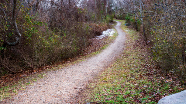 istock Rural Road Winter Landscape 1193885473