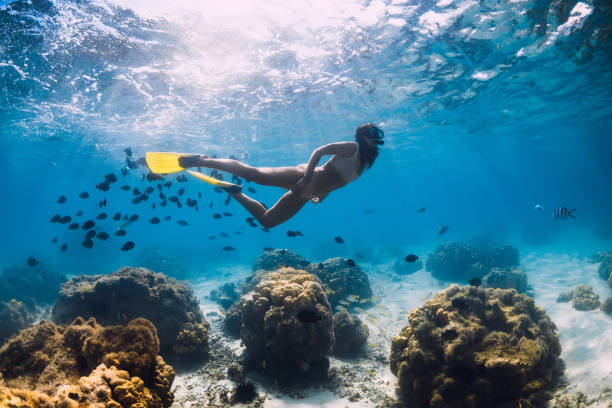 la fille libre de plongeur glisse avec l'école des poissons dans l'océan bleu - snorkel photos et images de collection