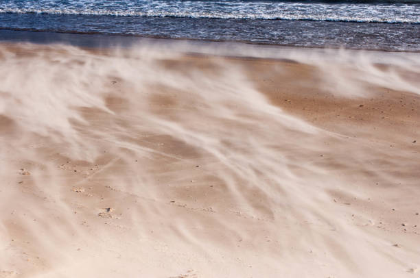 istock Dusty shore sund beach ocean 1193894108