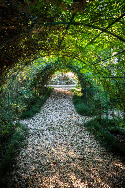 istock Green garden tunnel 1193902081