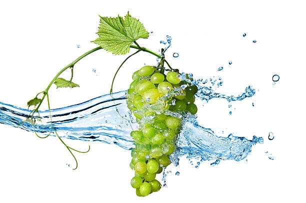 istock green grape and water splash isolated on white 119390307