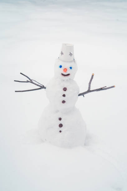 istock Snowman in the snow, at winter park. 1193903311