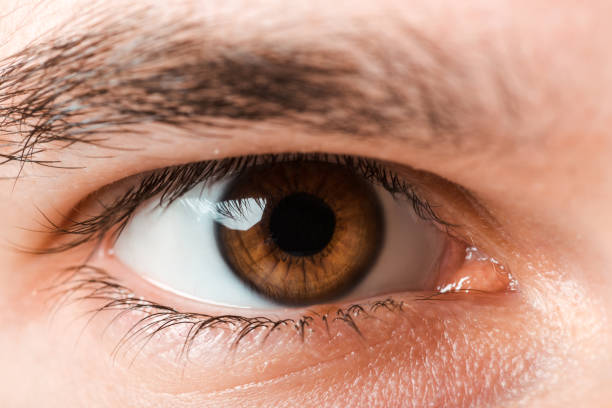 istock cropped view of man looking at camera 1193906398