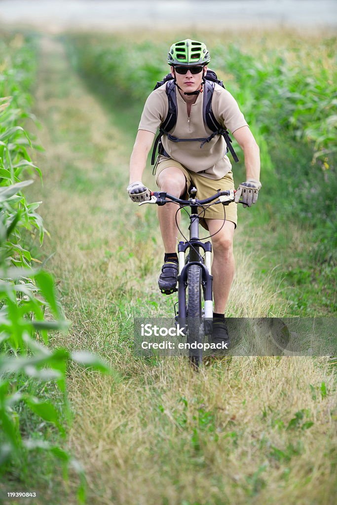Mountain biker riding on bicycle  Activity Stock Photo