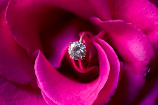 istock Golden ring with diamond on a pink rose, close up. 1193909902