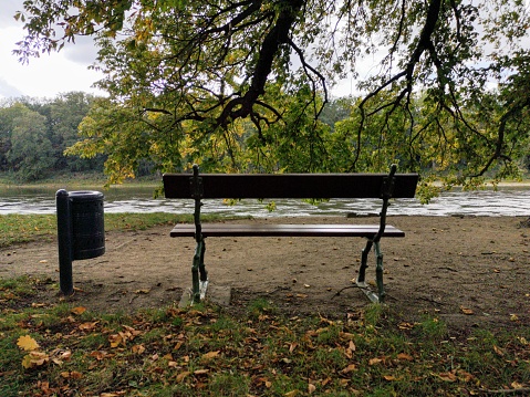Bench with bin at river