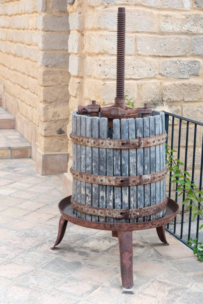 istock Agricultural tools Sicilian winemakers 1193913900