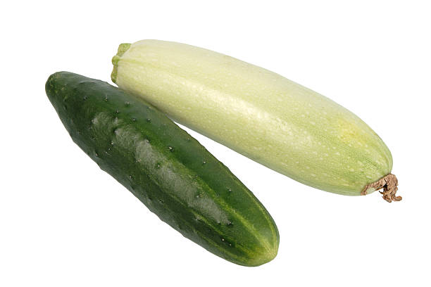 vert concombre et de courgettes. - zukini photos et images de collection